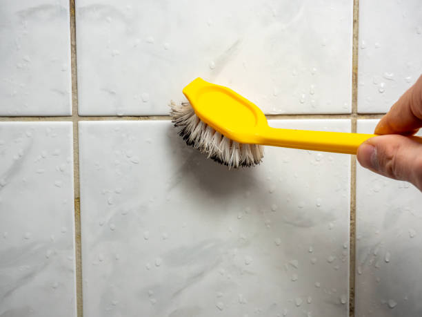 Easley, SC Mold Remediation Company